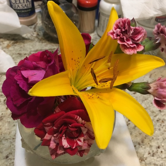 Meet your Posher, Jan - Picture 1 of 4